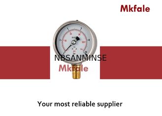 Γεμισμένος μετρητής πίεσης σύνδεσης ορείχαλκου υγρό με την περίπτωση ξιφολογχών